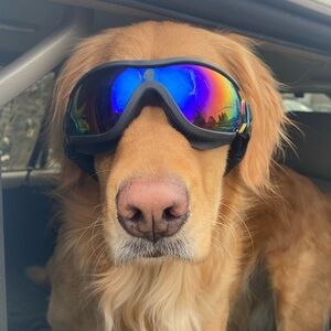 Meet your Posher, Jenny